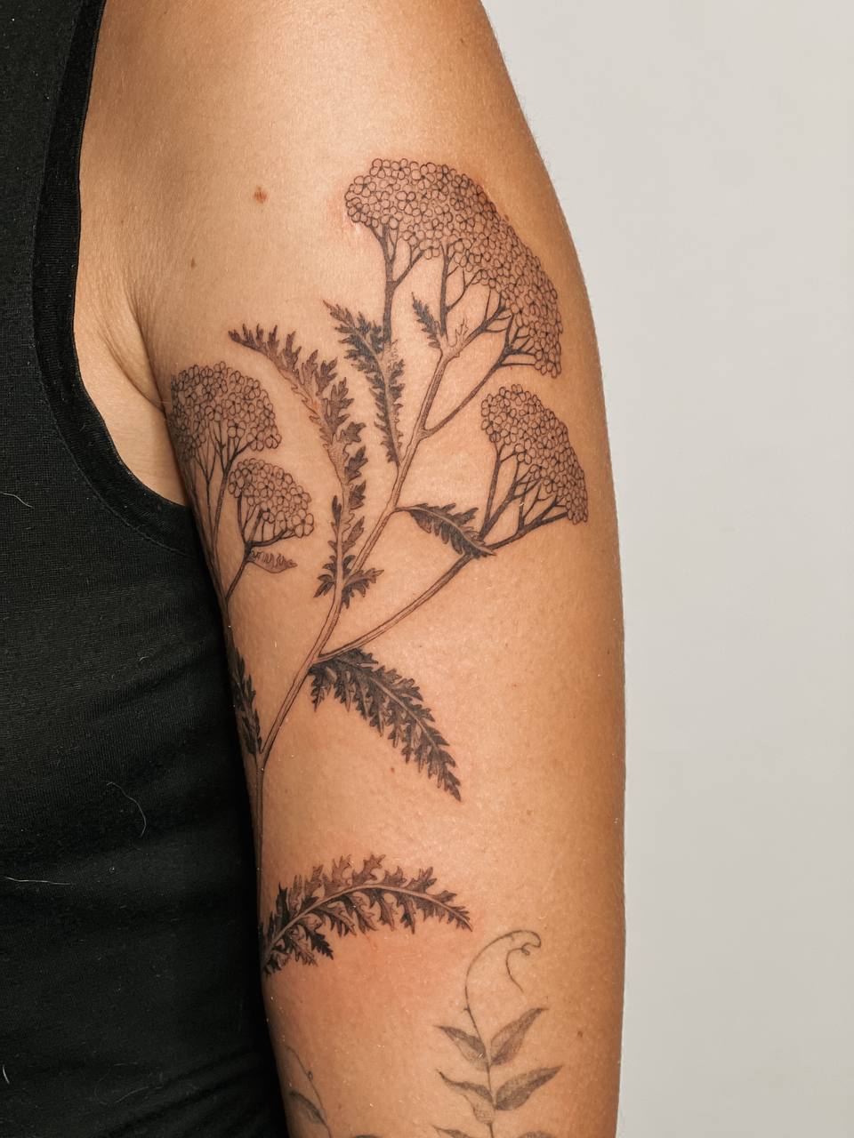 blackbirddotwork work 3